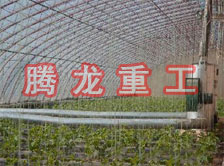 大棚花卉供暖設(shè)備、大棚卉采暖設(shè)備、大棚花卉取暖設(shè)備