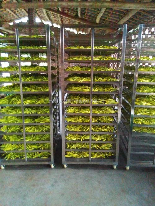 黃花菜烘干機(jī)、黃花菜烘干設(shè)備、黃花菜干燥機(jī)、黃花菜干燥設(shè)備、